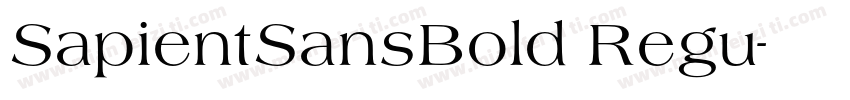 SapientSansBold Regu字体转换